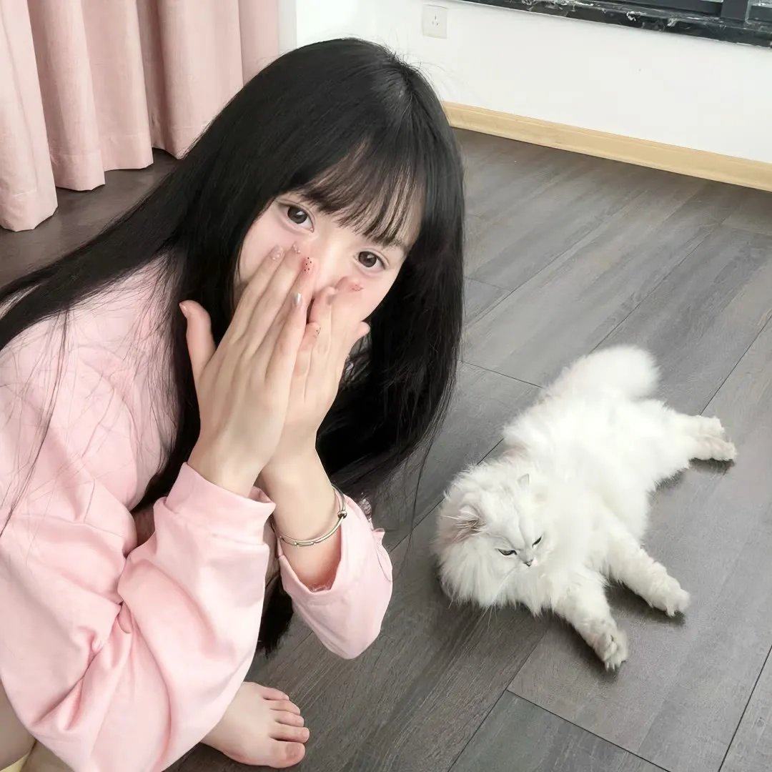 小夜曲 在线观看