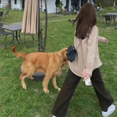 我的叔叔 在线观看