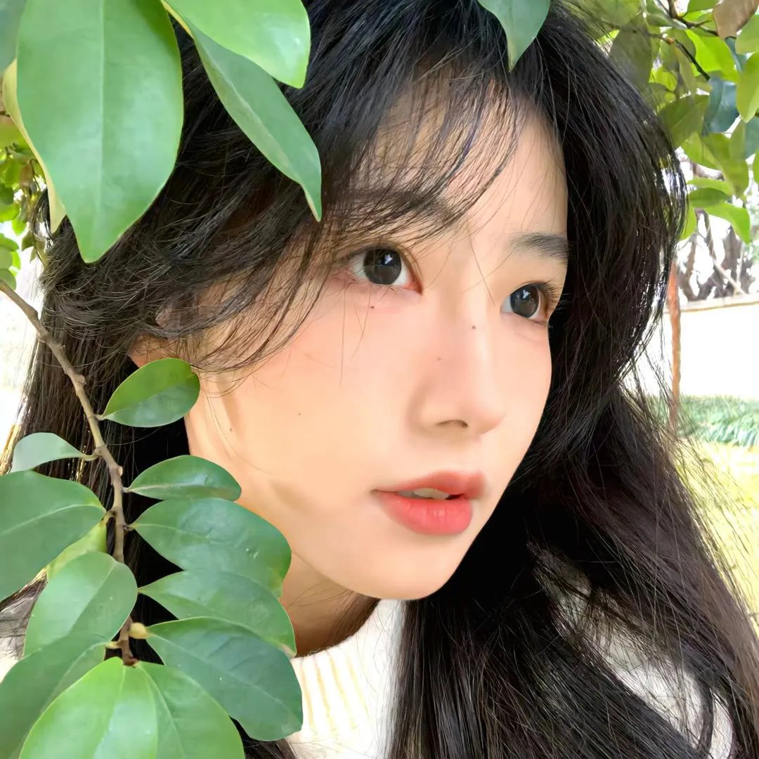 小豆的旅程 在线观看